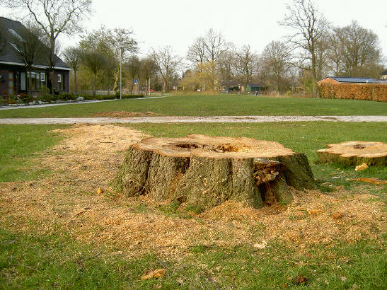 bij het boeremapark