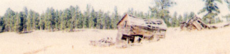 wilted country...