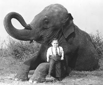 olifant...