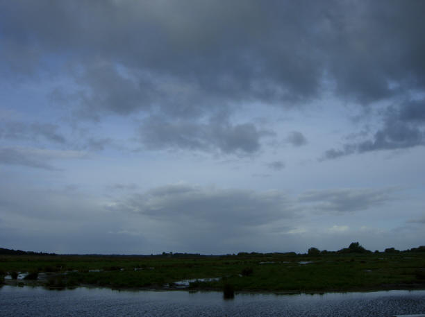 grijs en blauw...