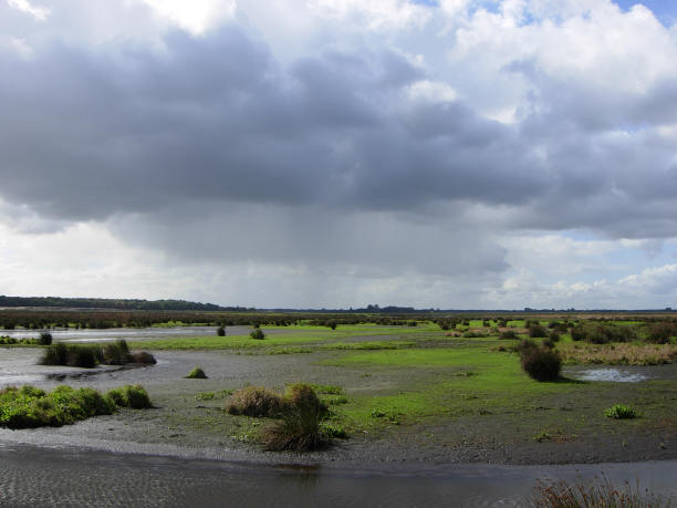 de polder...