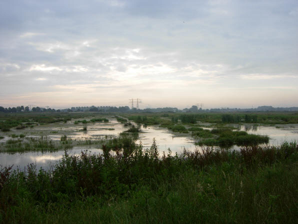 polder in de ochtend...