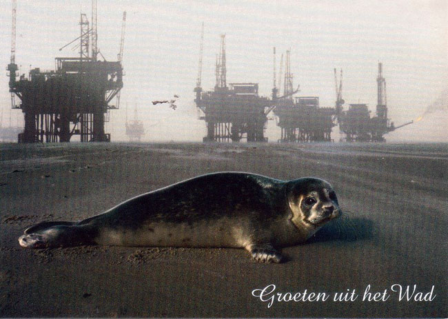 groeten uit het wad...