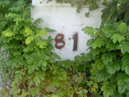 image: no81