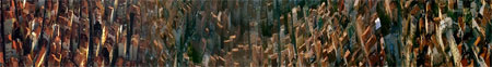 xenopolis