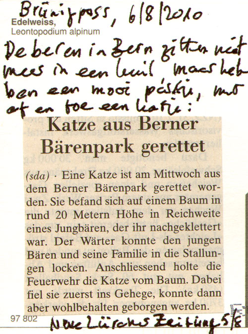 beren in bern