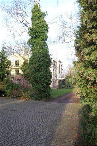 villa's