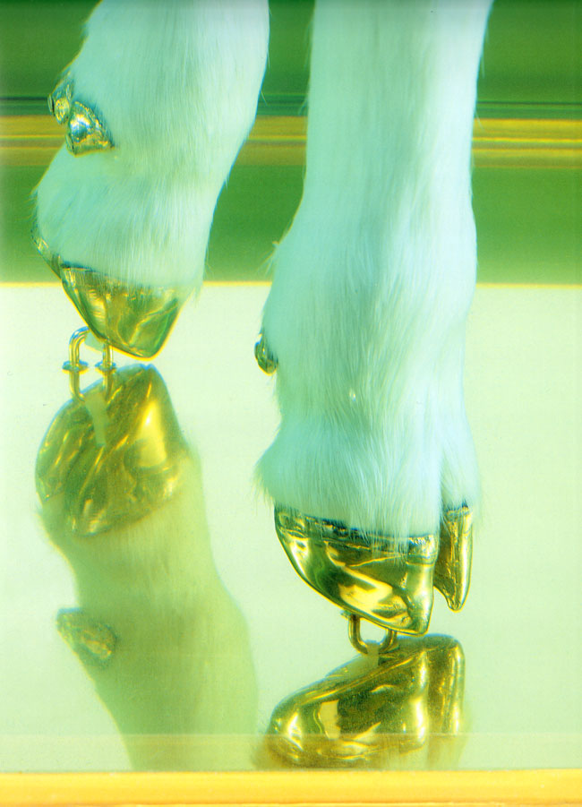 the false idol, detail
