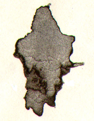 detail