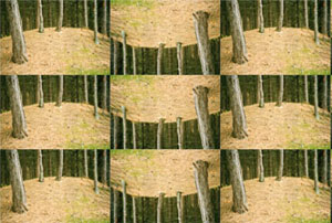fragment