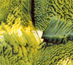 detail