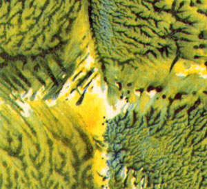 detail
