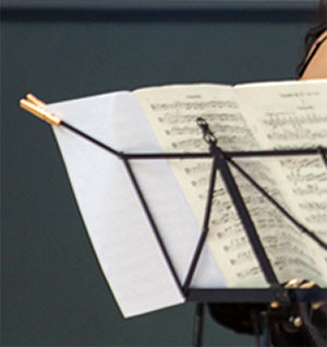celliste wytske holtrop live in leeuwarden…