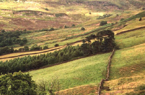 moors zijn vaak veengebieden in engeland, zoals hier in northumberland