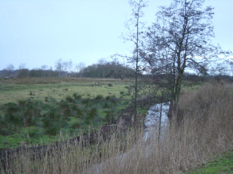 ook op een grijze dag zit er nog een boel kleur in dit landschap...