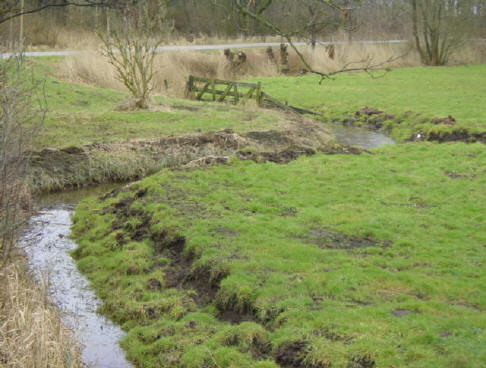 het is bijna te idyllisch, maar zo ziet het er echt uit...