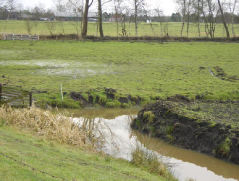 je kunt hier op de achtergrond een paar van de huizen zien die aan het dijkje liggen...