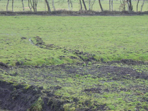 ook heel mooi, vinden wij - pikzwarte grond in een groene wei...