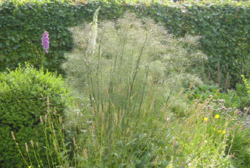 stukje voortuin