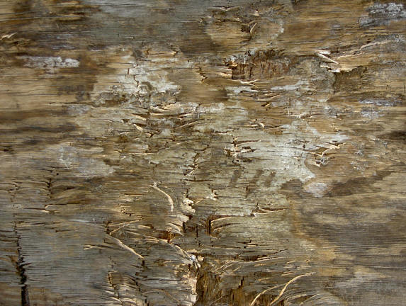 dit hout heeft zijn beste tijd ook gehad...