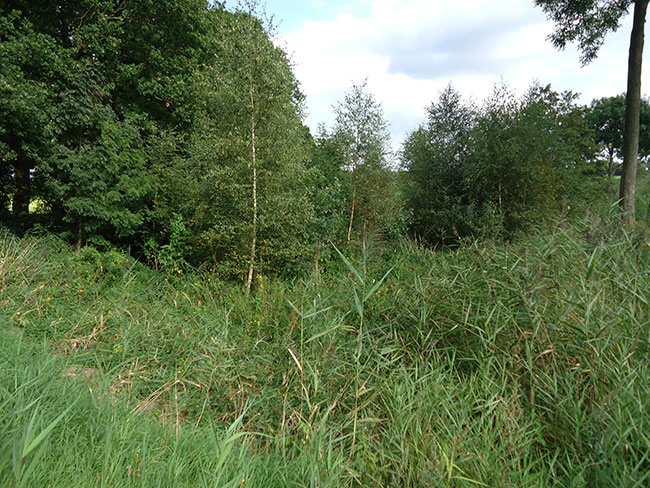 spetember 2014 - de natuur neemt het volledig over...
