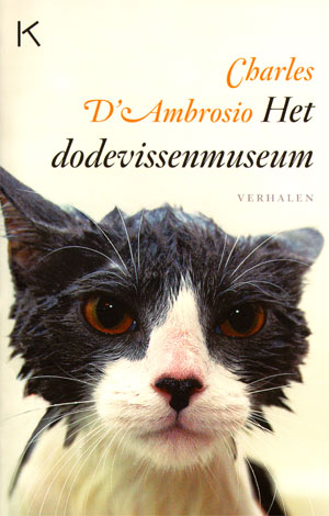 charles d’ambrosio, een grootmeester van het korte verhaal…