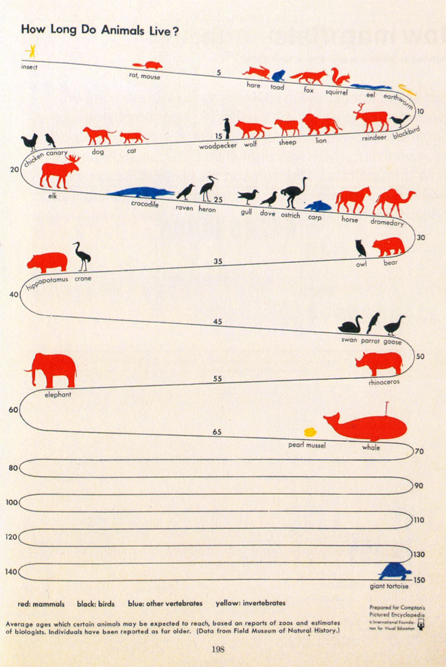 hoe lang leven dieren?