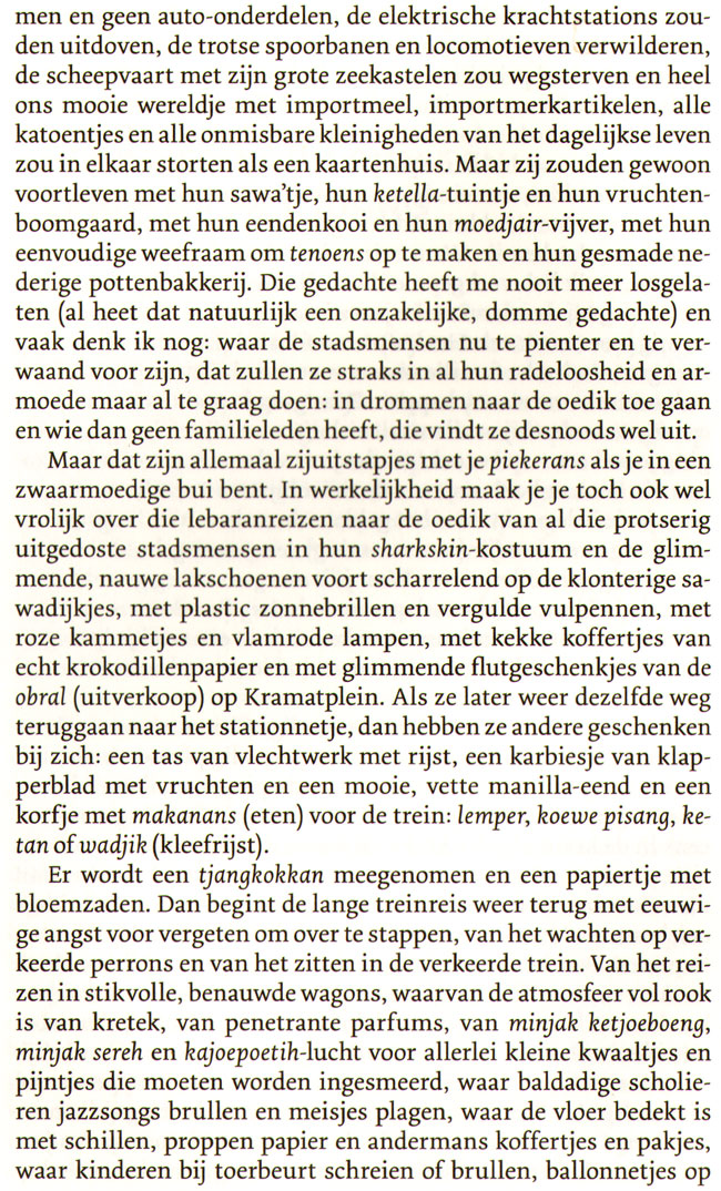 zijuitstapjes met je piekerans...