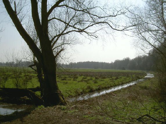 gelukkig kun je op de foto de snelweg niet horen...