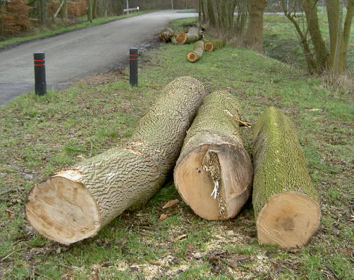 de restjes