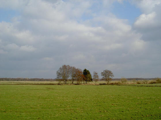 op sommige plekken kijk je heel mooi over de weilanden uit, zoals hier