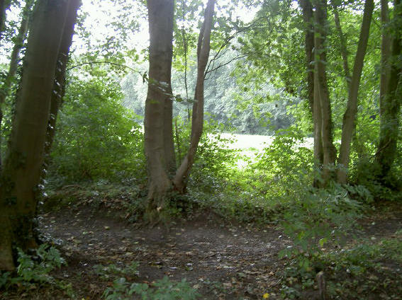 wandelpad