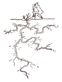 tekening uit het jaar van de tuinier