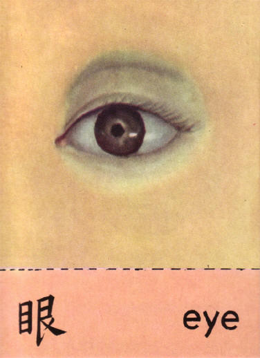 oog
