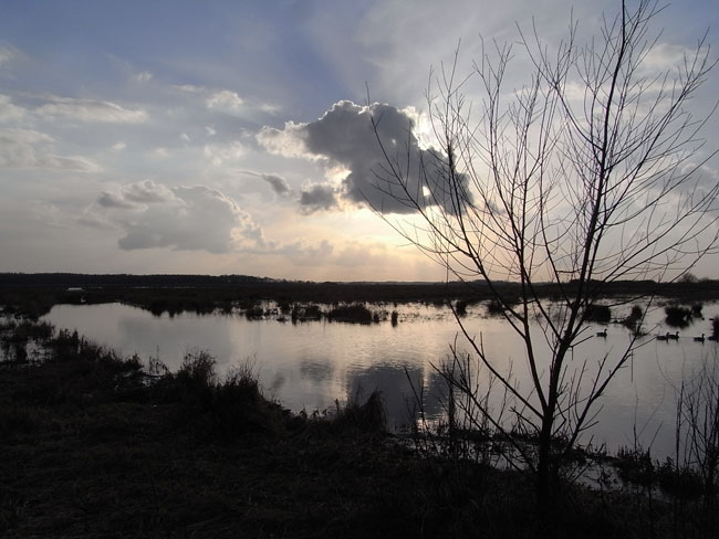 februari 2011