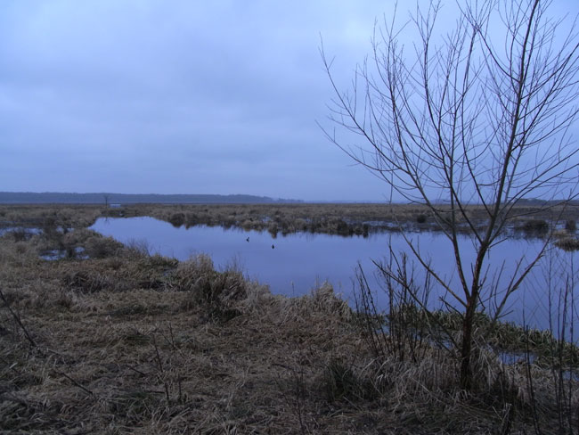 januari 2011