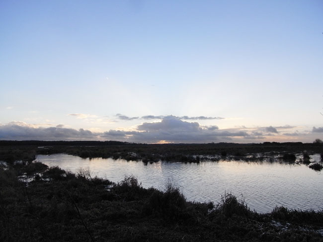half januari 2011