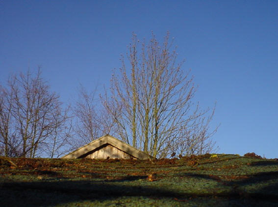 door deze foto kwam ik erachter dat r iets mis is met het dak van ons schuurtje, zie de bobbel rechts, die zit daar omdat de planken eronder zijn gaan uitzetten...