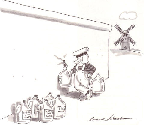 natuurlijk dijkwater