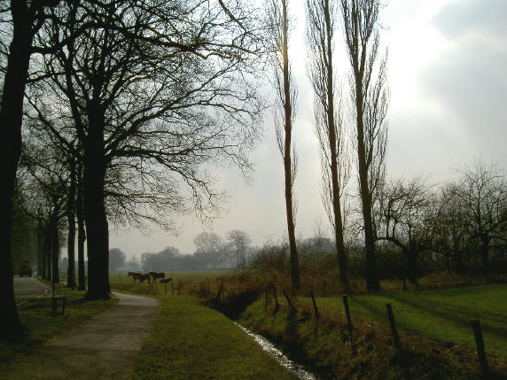 foto van het fietspad...