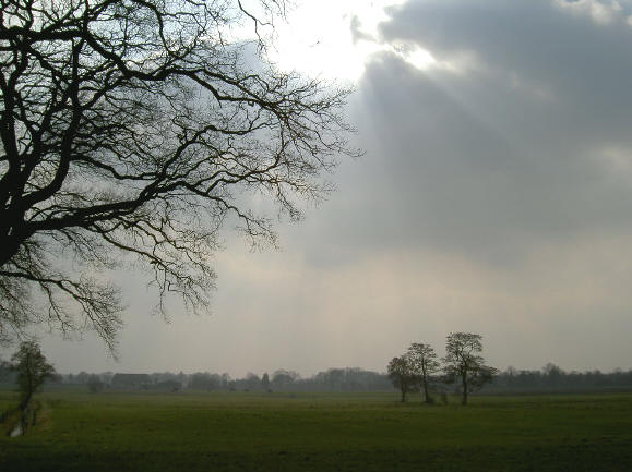 de natuur, daar word ik af en toe toch wel stil van...