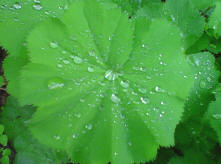 foto’s van vandaag 6 mei 2003