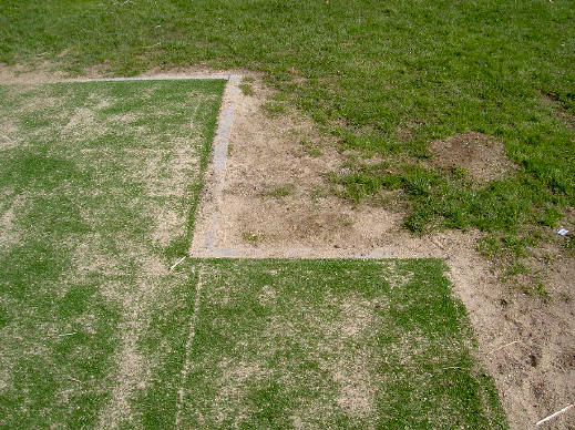 echt gras en kunstgras