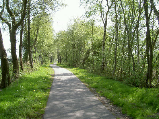 licht slingerend fietspad