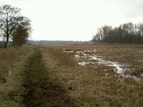 en al die leegte vind je op een kwartiertje fietsen van groningen