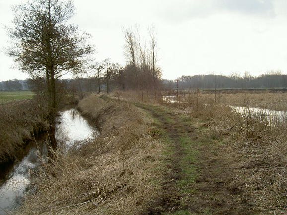 ook hier loop je op een dijkje, met rechts de plassen van het friese veen en links uitgestrekte weilanden