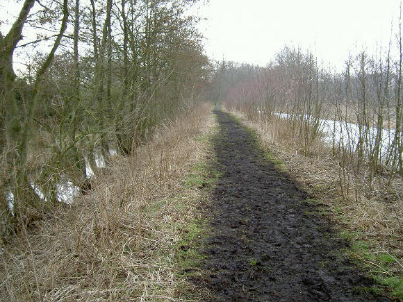 hier gaan we weer naar het westen, richting eelde