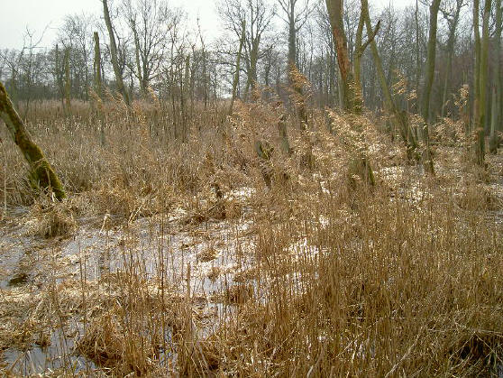 winterkleuren
