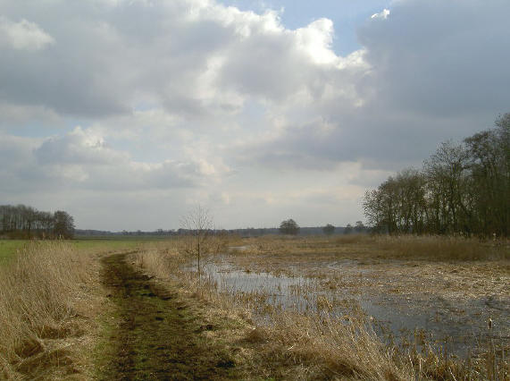 het ziet er heel altijd weer anders uit, en altijd mooi en bijzonder...