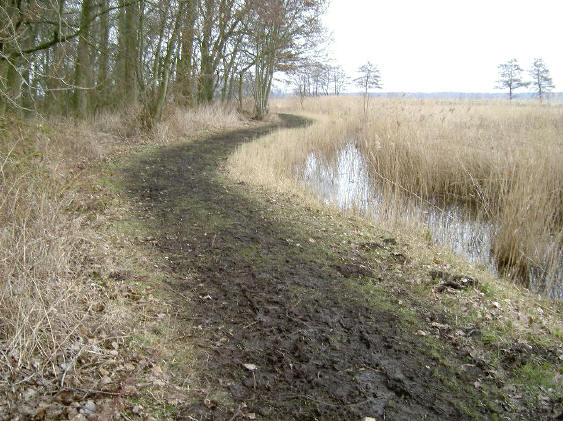 het pad bleef overal modderig